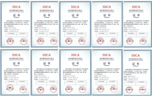 恭喜，，，，重庆首批10家单位通过软件服务商交付能力评估